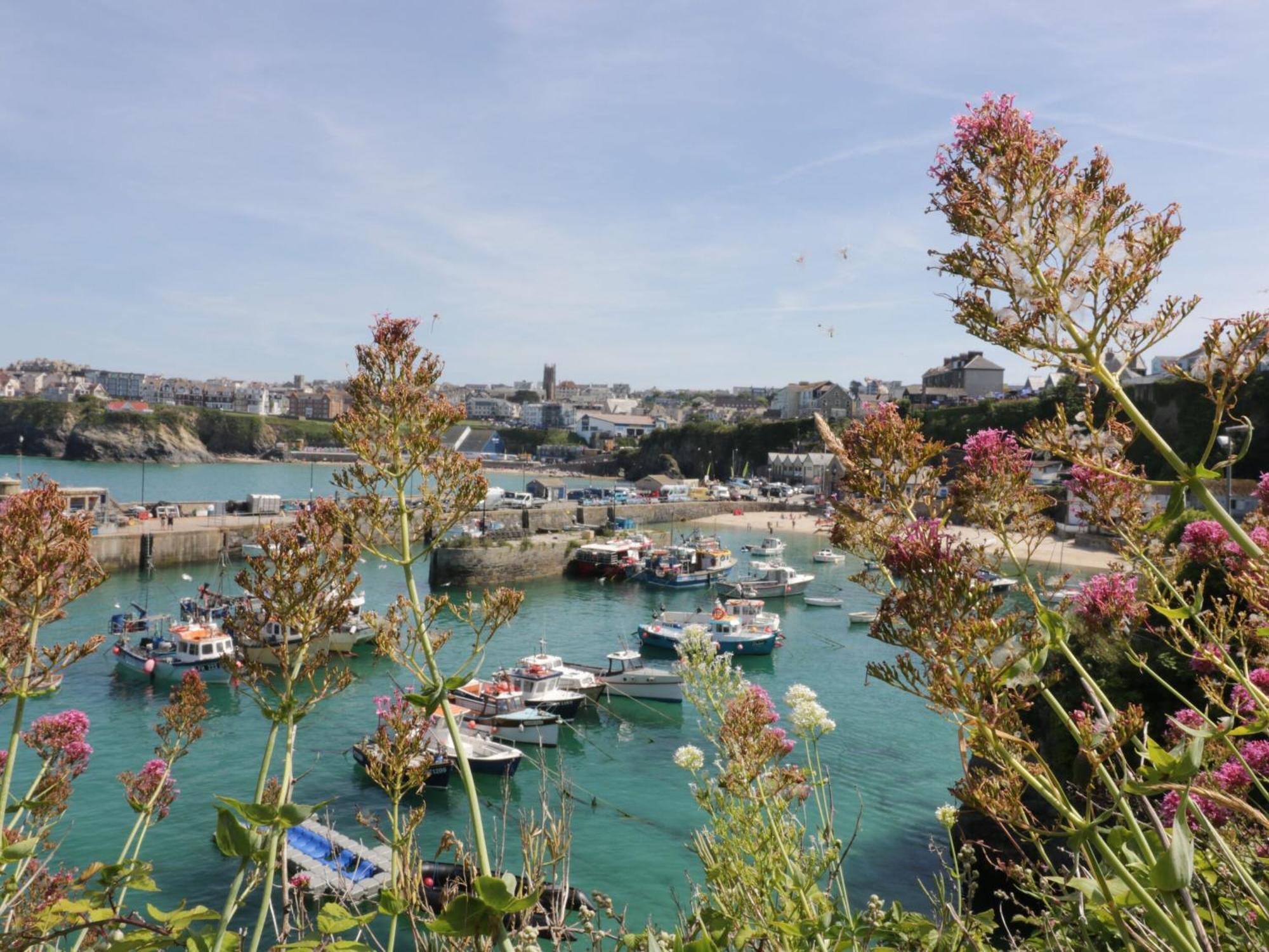 4 Trevanson Mews New Quay Buitenkant foto