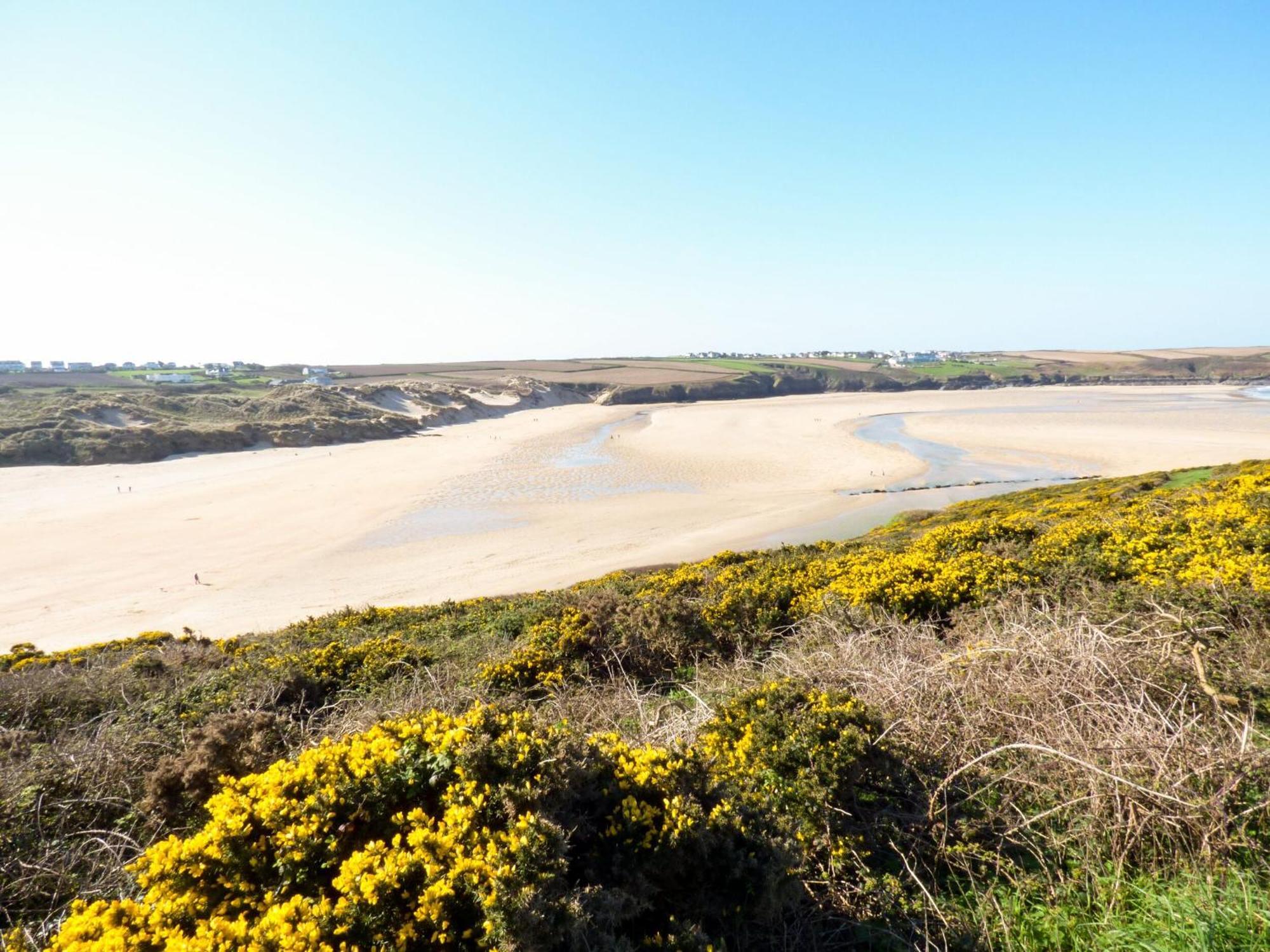 4 Trevanson Mews New Quay Buitenkant foto